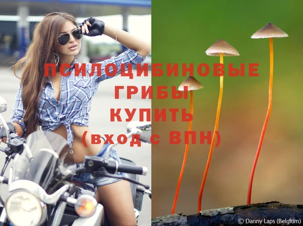 дживик Балахна