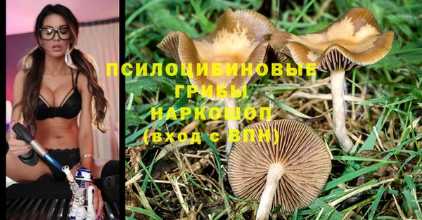 дживик Балахна