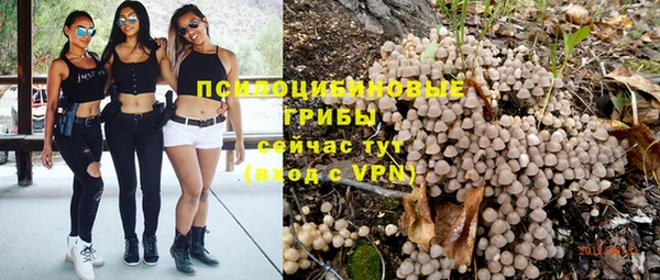 ALPHA PVP Баксан